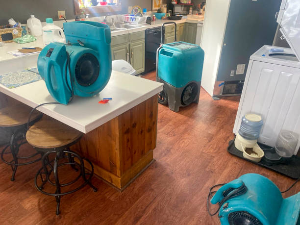 Trusted Folly Beach, SC Water damage restoration Experts