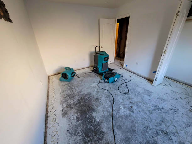 Best Basement water damage restoration  in Folly Beach, SC