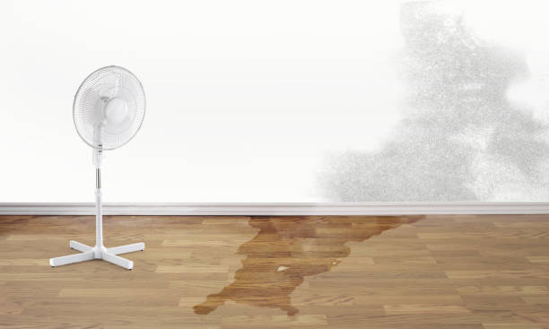 Water damage restoration mold remediation in Folly Beach, SC