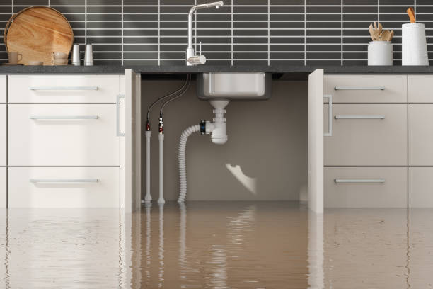 Best 24-hour water damage restoration  in Folly Beach, SC