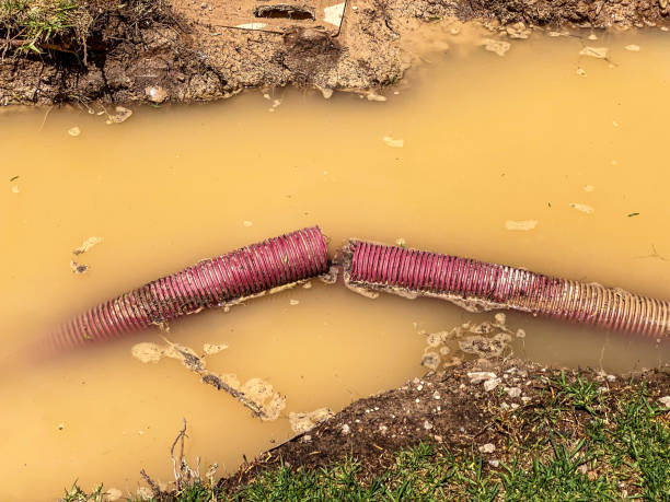 Best Sewage cleanup and water damage restoration  in Folly Beach, SC