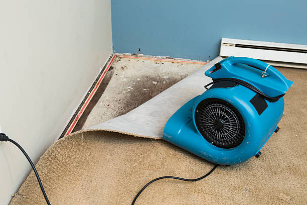 Carpet water damage restoration in Folly Beach, SC